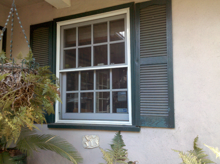 Click for next photo