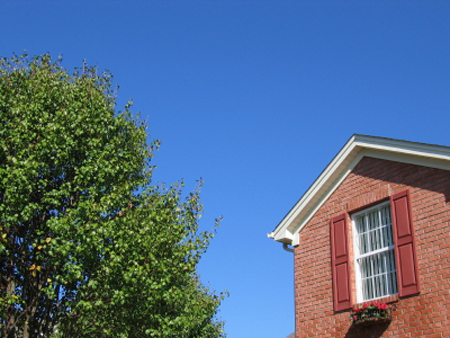 Click for next photo