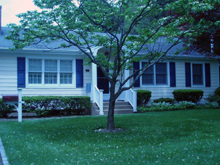 Click for next photo