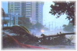 Offers security shutters, shutter hardware, wood shutters, window shutters, exterior shutters, interior shutters and custom shutters. Free shipping, view/buy online, 100% satisfaction guarantee.