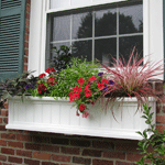 Cape Cod Window Box
