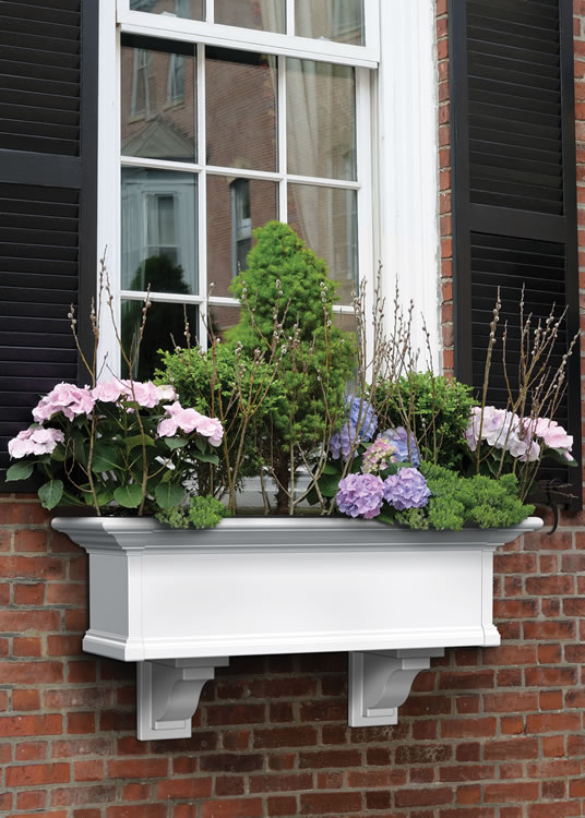Yorkshire Window Box