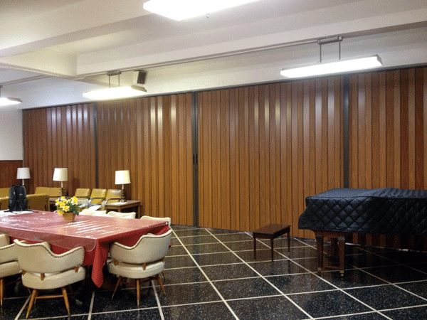 Accordion Doors Hardwood